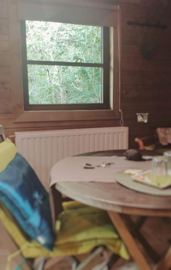B&B Aquavert Doornik Buitenkant foto